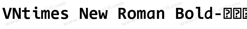 VNtimes New Roman Bold字体转换